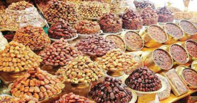 Ini Dia 10 Kurma Terpopuler Di Dunia