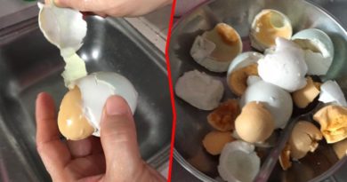Telur Asin Juga Ada yang Palsu, Dilempar Gak Pecah Malah Memantul