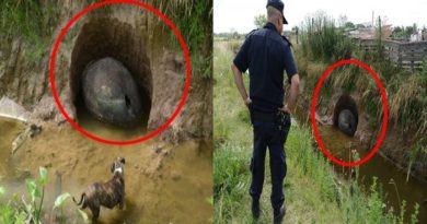 Diduga Telur Dinosaurus Yang Terpendam di Dalam Lumpur,Nyatanya Bikin Kaget
