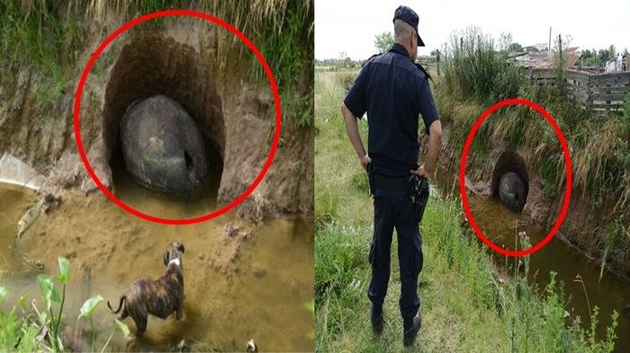 Diduga Telur Dinosaurus Yang Terpendam di Dalam Lumpur,Nyatanya Bikin Kaget