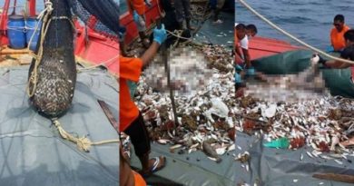 Geger Seorang Nelayan Di Kagetkan Dengan Hasil Tangkapannya Yang Bikin Ngilu