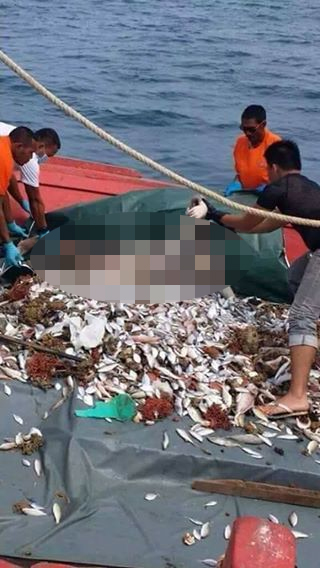 Geger Seorang Nelayan Di Kagetkan Dengan Hasil Tangkapannya Yang Bikin Ngilu