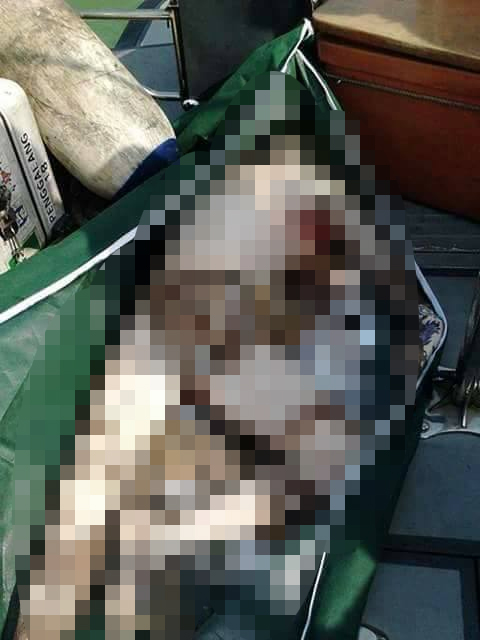 Geger Seorang Nelayan Di Kagetkan Dengan Hasil Tangkapannya Yang Bikin Ngilu