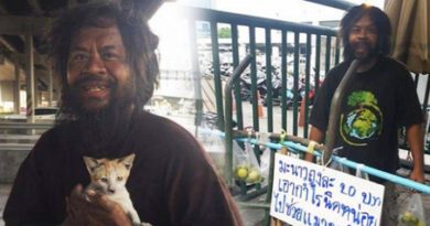 Gelandangan Asal Thailand Ini Menjual Jeruk Agar Kucing Jalanan Bisa Makan