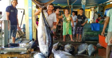 Melihat Cara Nelayan Bone Tangkap Tuna Raksasa