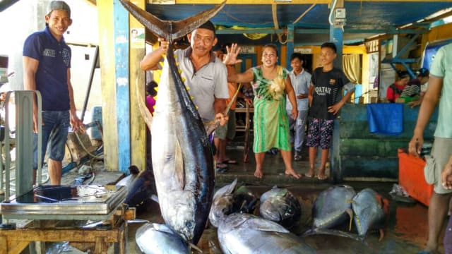 Melihat Cara Nelayan Bone Tangkap Tuna Raksasa