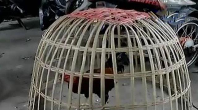 Ngabuburit Ala 6 Warga Jambi Ini Bikin Geleng Kepala