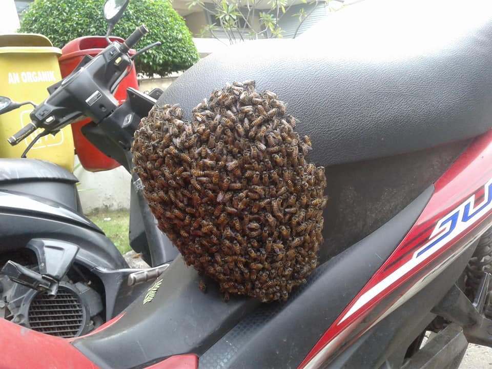 Parkir Motor Dan Tinggalkan Helm Di Jok Pria Ini Terkejut Saat Kembali