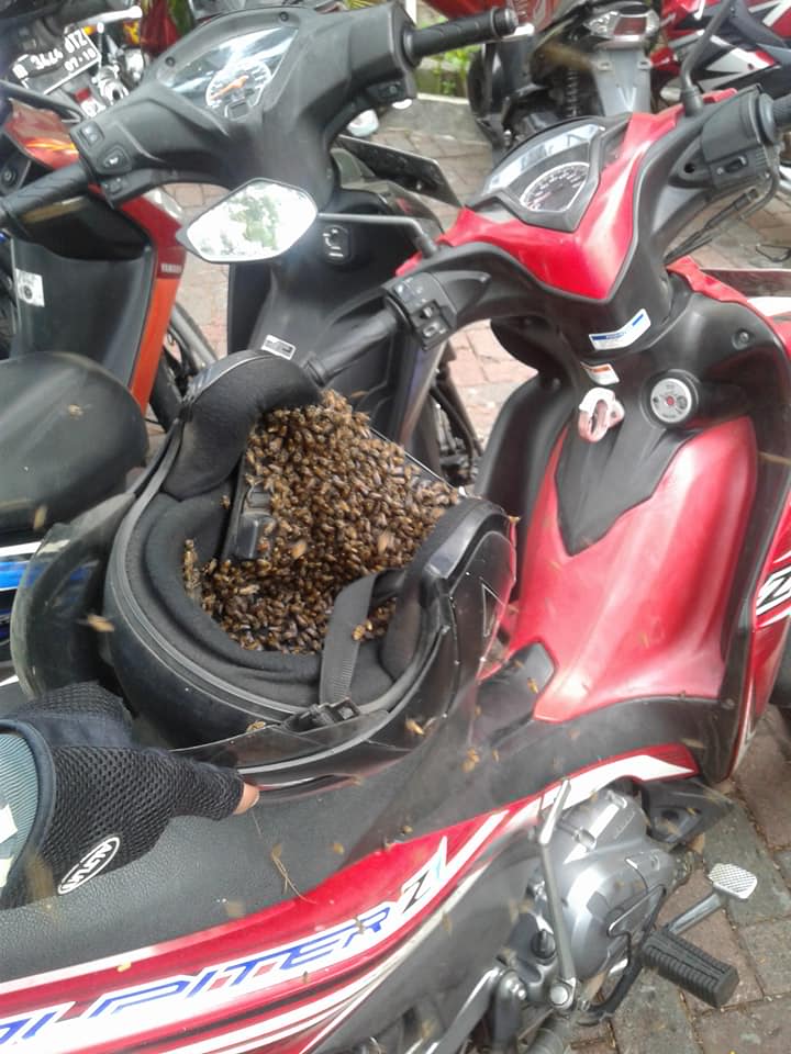 Parkir Motor Dan Tinggalkan Helm Di Jok Pria Ini Terkejut Saat Kembali