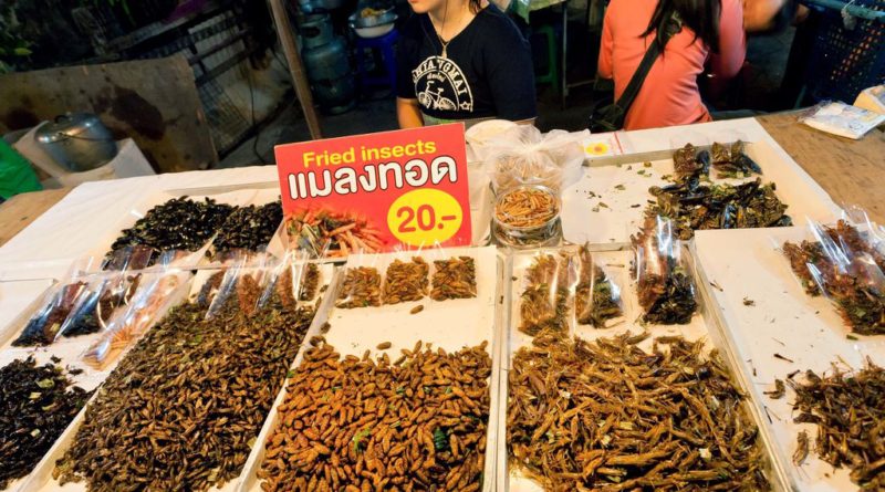 Serangga dijual Sebagai Makanan untuk solusi Krisis Pangan