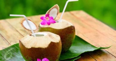 Ternyata Air Kelapa Memiliki Manfaat Yang Baik Saat Dikonsumsi Pada Bulan Ramadan.