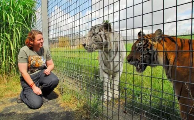 Tragis Rosa Dimangsa Harimau Peliharaannya Hingga Tewas