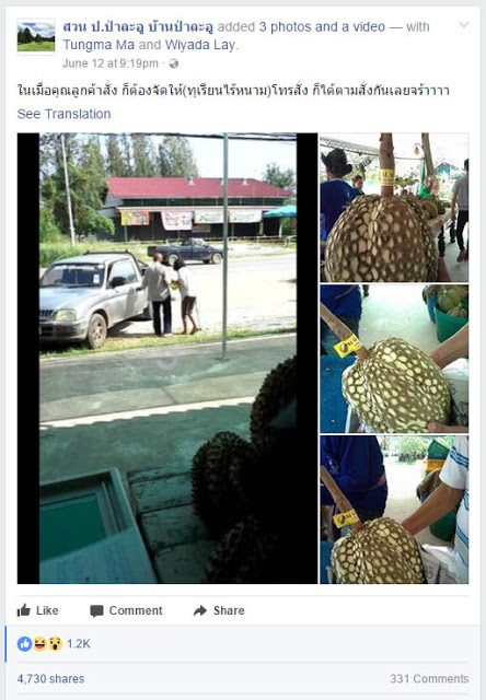 Viral Foto Durian Montong Ini Banyak Dicari Di Sosmed,Ini Alasanya