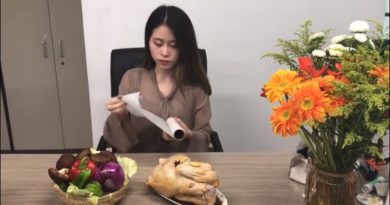 Wanita Ini Beli Ayam Hidup Kekantor, Gak Kerja Malah Begini Kegiatannya