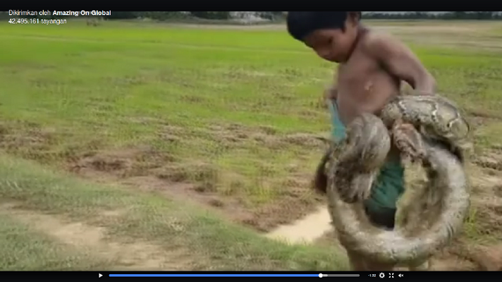 Viral Video 2 Bocah Asia Pemburu Ular untuk Bantu Keuangan Keluarga