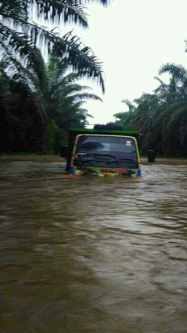 BANJIR BESAR LANDA BELITUNG HEWAN BUAS NYASAR KE RUMAH WARGA
