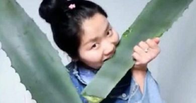 Ingin Makan Lidah Buaya, Vlogger Ini Malah Makan Tumbuhan Beracun
