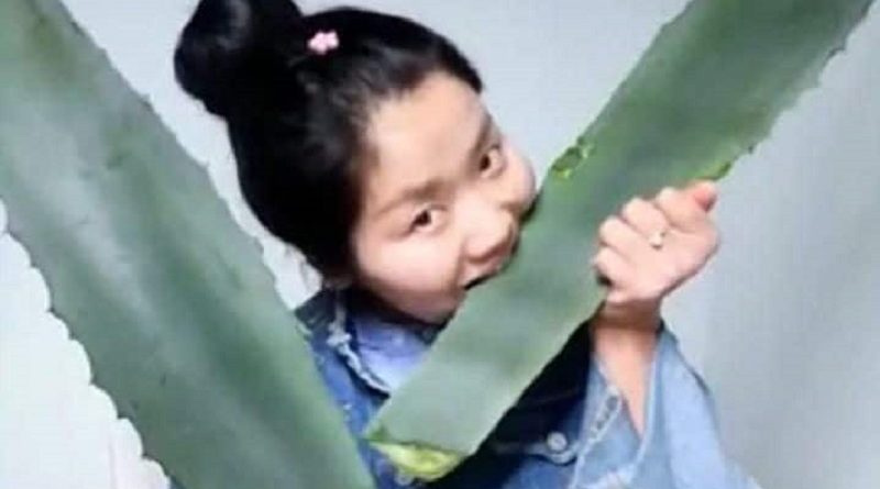 Ingin Makan Lidah Buaya, Vlogger Ini Malah Makan Tumbuhan Beracun