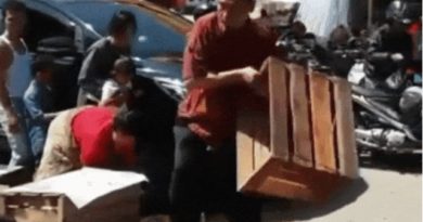Pro dan Kontra Aksi Kadis Mengamuk Membanting Pisang PKL