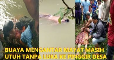 Rekaman Video Buaya Antar Mayat ke Pinggir Sungai Gegerkan Warga