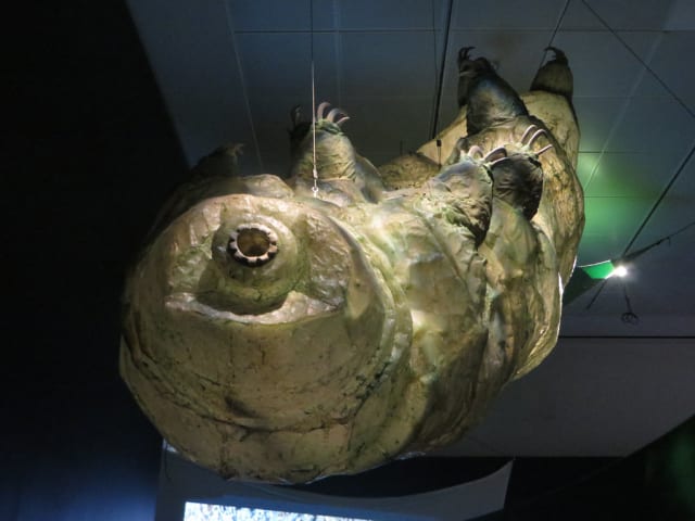 TARDIGRADA, HEWAN MUNGIL TERKUAT YANG SULIT DI MUSNAHKAN HINGGA HARI KIAMAT