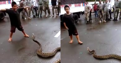 Bocah Indonesia Tangkap Piton Pakai Tangan Jadi Sorotan Media Inggris