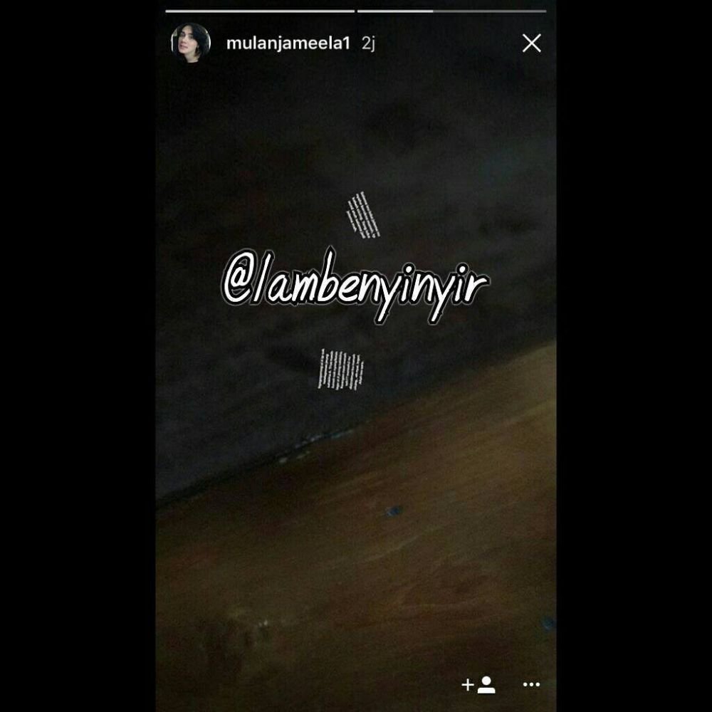 Mulan Jameela Nyindir-Nyindir di Medsos, Netter KARMA
