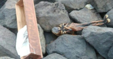 Surabaya Dihebohkan oleh Penemuan Jenglot di Pantai Watu-watu