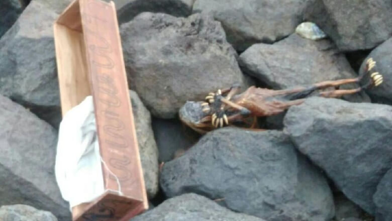 Surabaya Dihebohkan oleh Penemuan Jenglot di Pantai Watu-watu