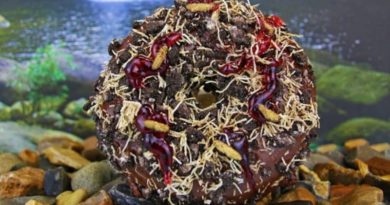 Donat Mirip Serangga Hidup Sukses Hebohkan Netizen