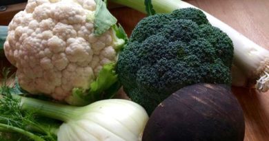 8 Makanan yang Berkhasiat Kurangi Risiko Kanker Payudara