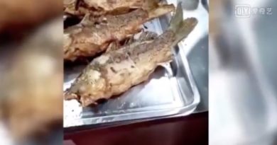 Di China Video Viral Ikan Selesai di Goreng yang Masih Bergerak