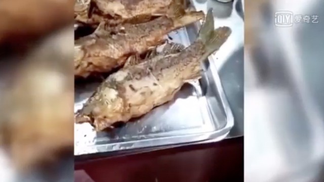 Di China Video Viral Ikan Selesai di Goreng yang Masih Bergerak