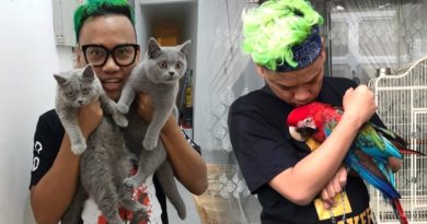 Uya Kuya Pelihara 6 Burung dan 40 Kucing Karena Hobi