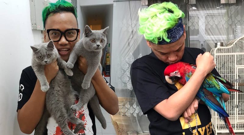 Uya Kuya Pelihara 6 Burung dan 40 Kucing Karena Hobi