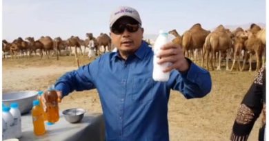 Video Viral, Ustaz Bachtiar Nasir Minum Air Kencing Unta