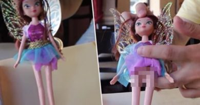 Boneka Cewek Ini Sekilas Terlihat Biasa, Saat Roknya Diangkat Hal Janggal Terungkap