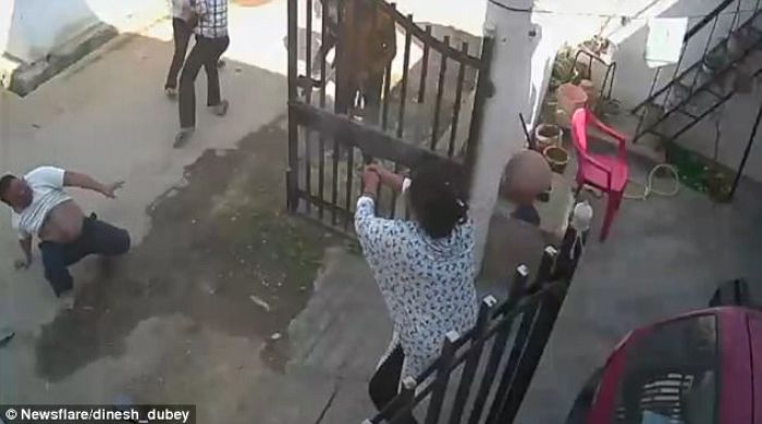 The Power of Emak-emak, Tembaki Penjahat Demi Selamatkan Suaminya