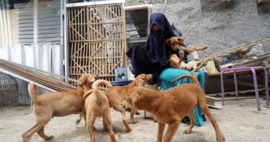 Hesti Perempuan Muslimah Bercadar Yang Merawat 11 Anjing