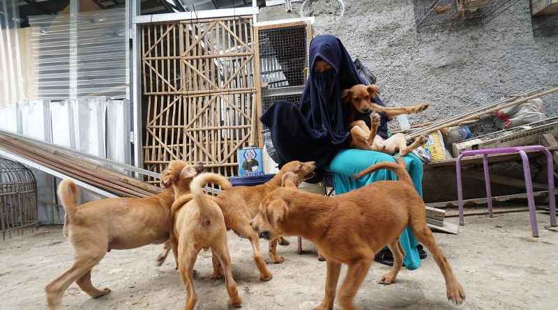 Hesti Perempuan Muslimah Bercadar Yang Merawat 11 Anjing