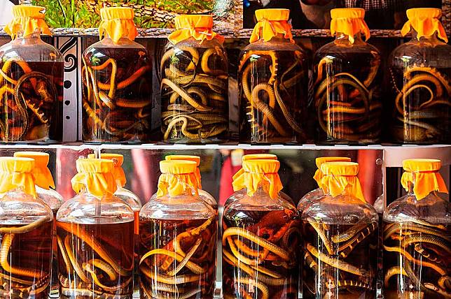 Ngaku Suka Kuliner Ekstrim, Berani Cicipin 9 Makanan Ini