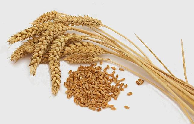 7 Makanan Kaya Serat Untuk Lancarkan Pencernaan Saat Puasa