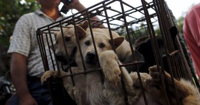 Enemawira yang Diduga Paksa Narapidana Muslim Makan Daging Anjing