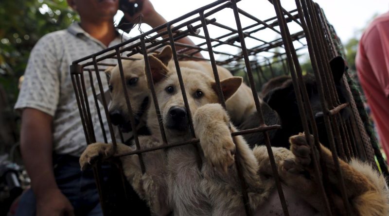 Enemawira yang Diduga Paksa Narapidana Muslim Makan Daging Anjing