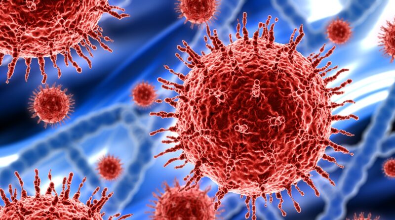 Kasus Virus Nipah di India Membuat Pengetatan Skrining Penumpang di Soekarno-Hatta