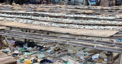 Jorok, Produksi Ikan Asin di Kalibaru Banyak Tumpukan Sampah di Sekelilingnya Memunculkan Bau Menyengat