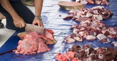 Cara Sehat Menikmati Daging Kurban Saat Idul Adha 2026